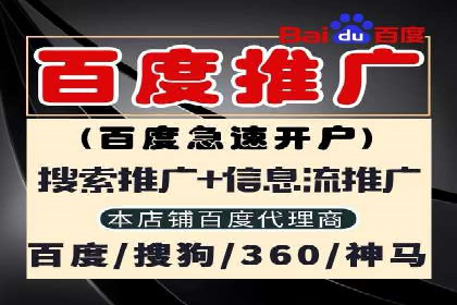 成功案例：SEM外包公司如何打造高效广告投放方案